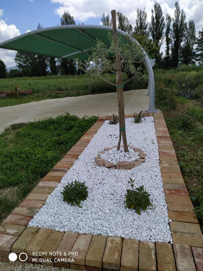 Agriturismo " Le Serre" Spello Exterior photo