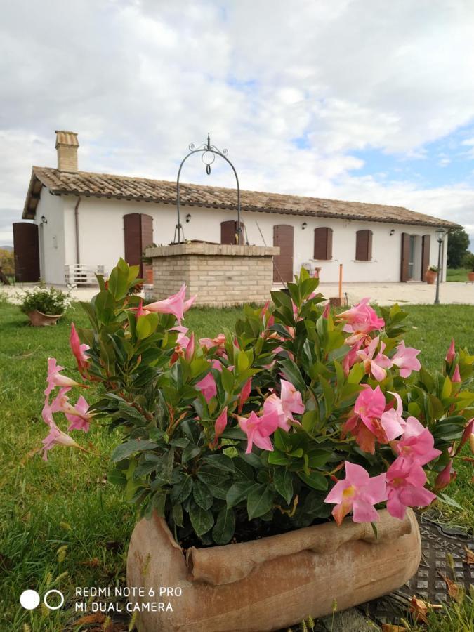 Agriturismo " Le Serre" Spello Exterior photo